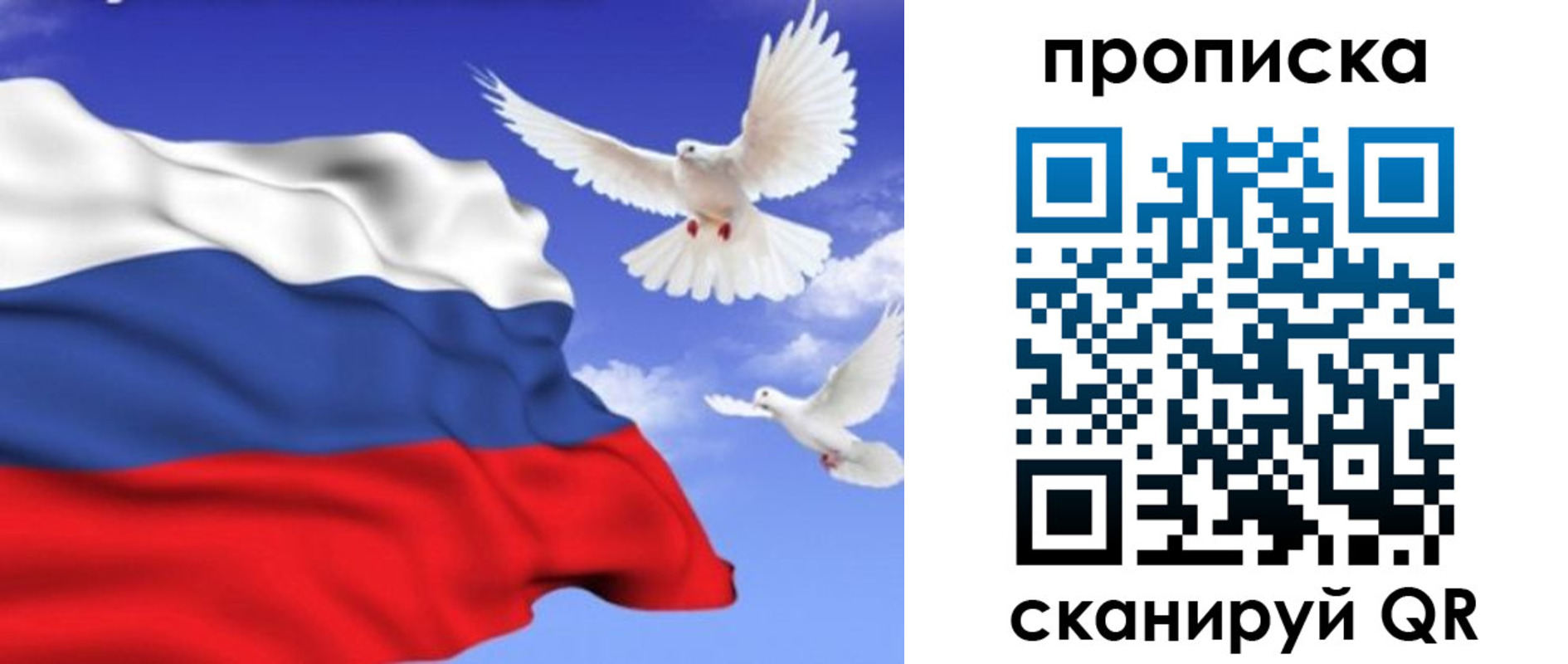 временная регистрация гарантия в Ленинградской области
